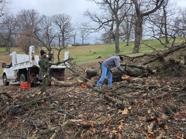 article image - Clean up 1